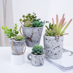 Newly designed potted artificial succulent plant succulent in cement pot