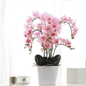 real touched potted artificial orchid for sale