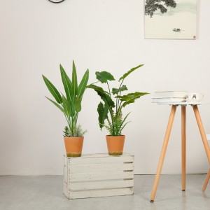 modern style high quality artificial plant in pot for sale