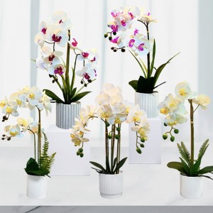 Wholesale real touch white artificial butterfly orchid flower in white pot
