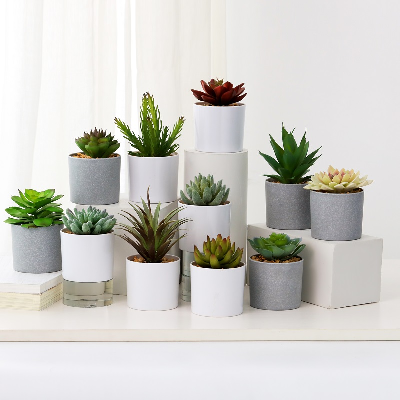 hot sale artificial succulent in melamine pot for selling