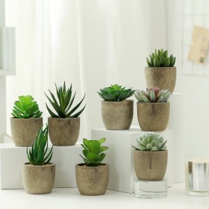 Hot selling artificial succulent plant in paper pulp pot